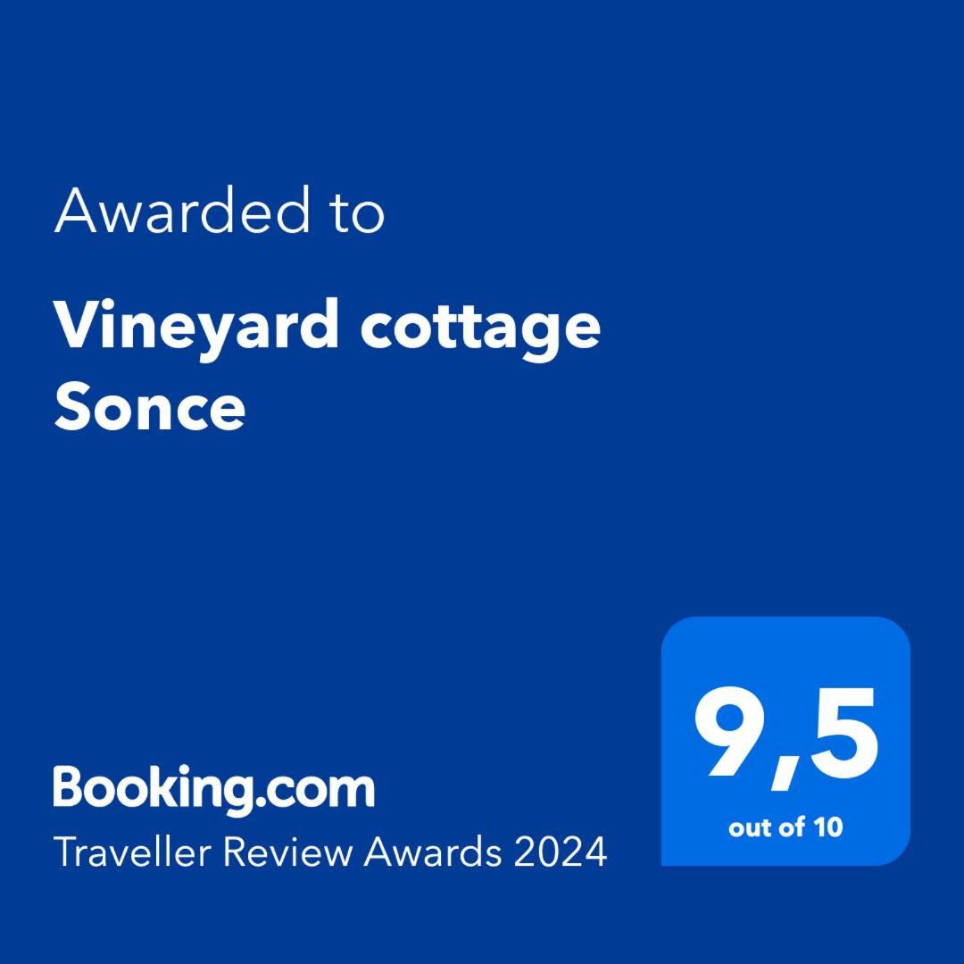 Vineyard Cottage Sonce Sentvid Pri Sticni Buitenkant foto